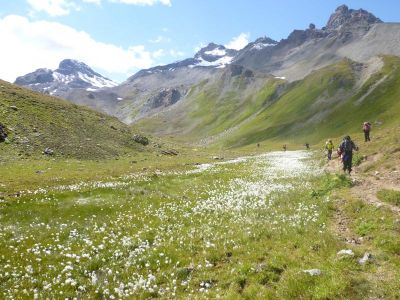 015-Die Bergwanderer beim Abstieg zur Heidelberger Huette